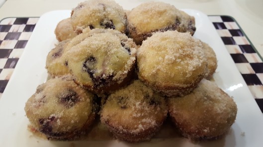 blueberry-muffin-cakes-5